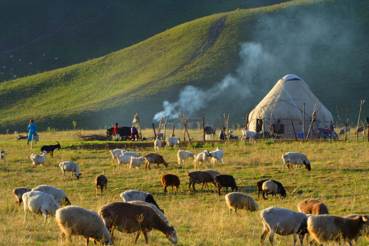 独库公路网红攻略,独库公路环线自驾游攻略