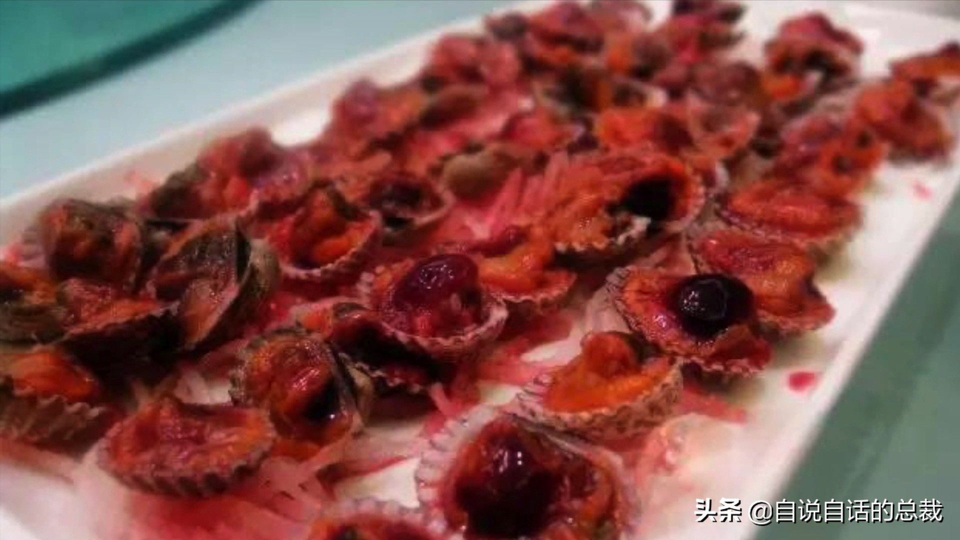 泥蚶和花甲蛤蜊有什么区别,贝螺蚌蛤蚬等怎么区分