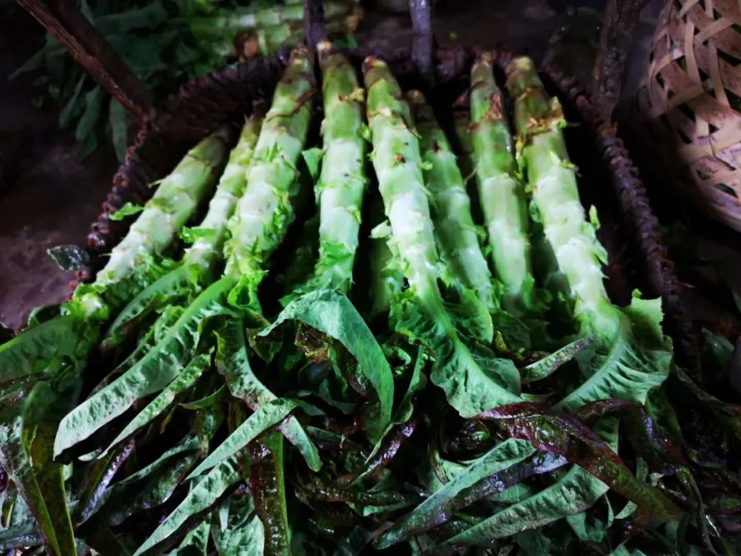素食餐厅尴尬,素食餐厅为什么总是开不下去