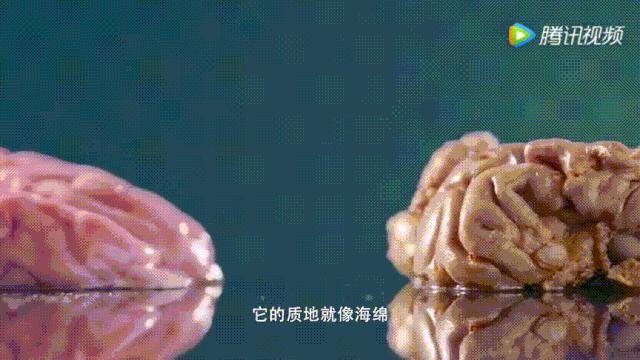 明星投毒吓人事件,深夜放毒招人恨的视频