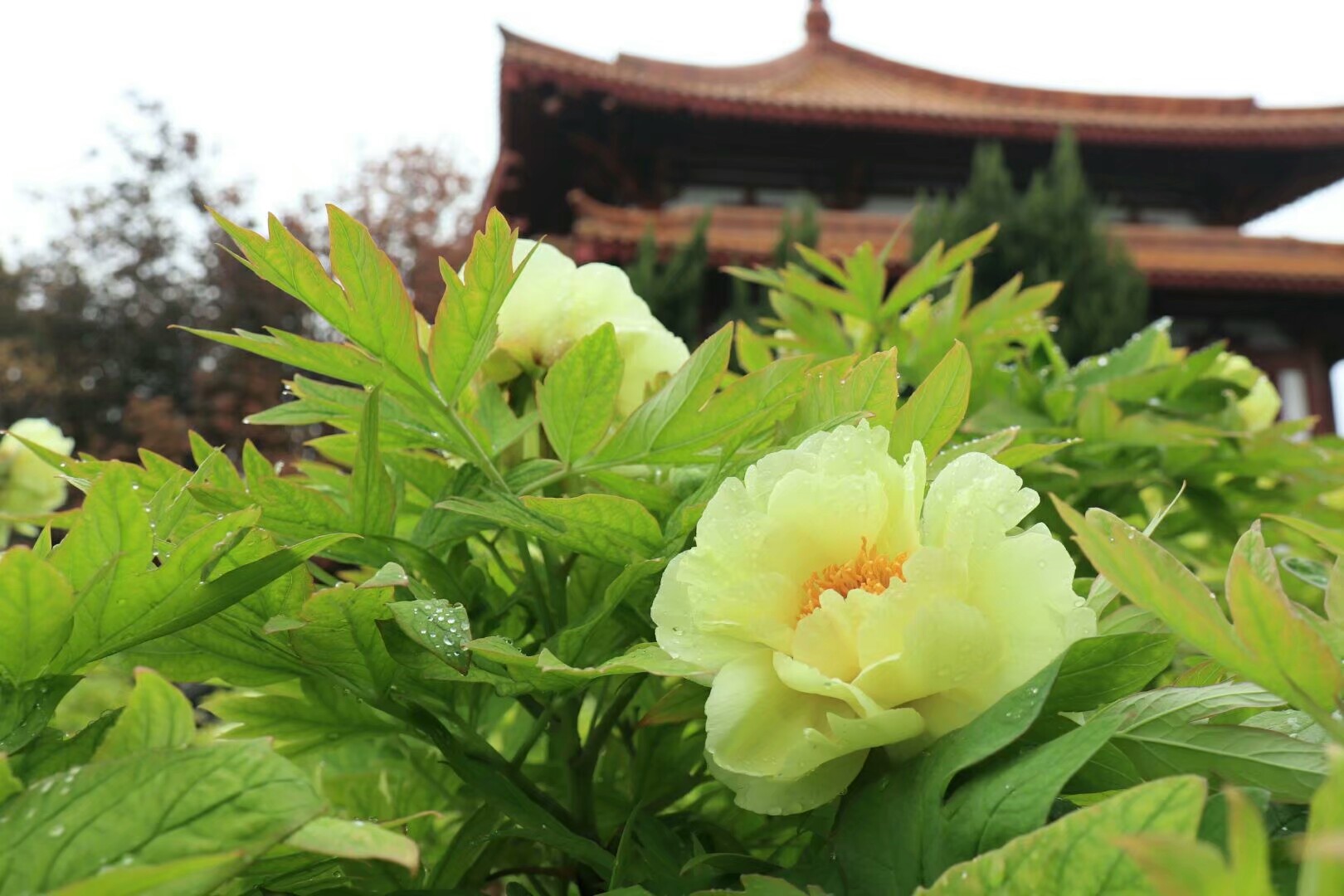 行走在路上寻找诗和远方,行走中有诗和远方