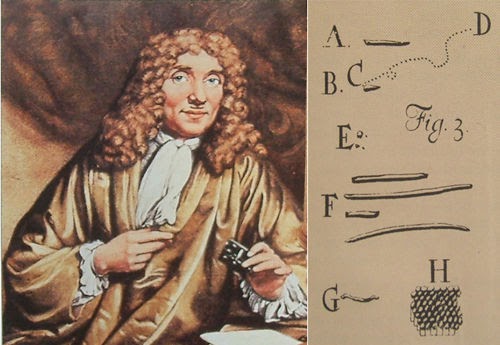 阿波罗11号登陆过月球了吗,阿波罗11号登月真的成功了吗