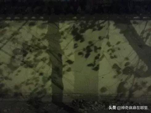 如何开导心里怕鬼的小孩子,怎么安慰孩子不怕鬼