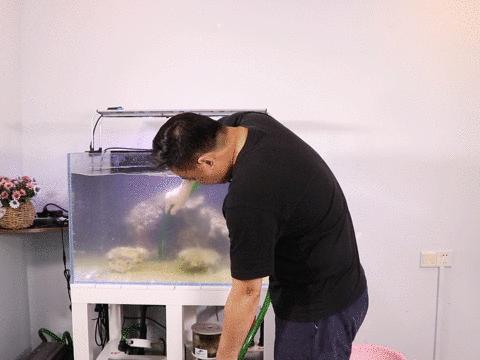 打造海洋生态缸,打造海缸生态系统