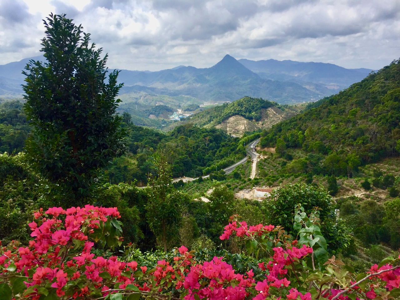 海南候鸟旅行,内陆候鸟自驾海南过冬