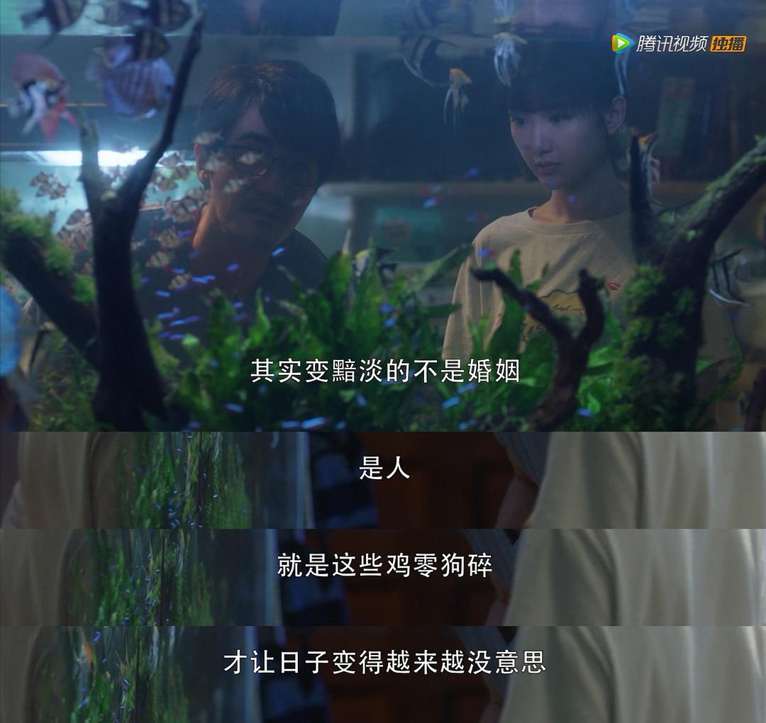 三十而已顾佳王漫妮钟晓芹结局,三十而已王漫妮告诉顾佳出轨