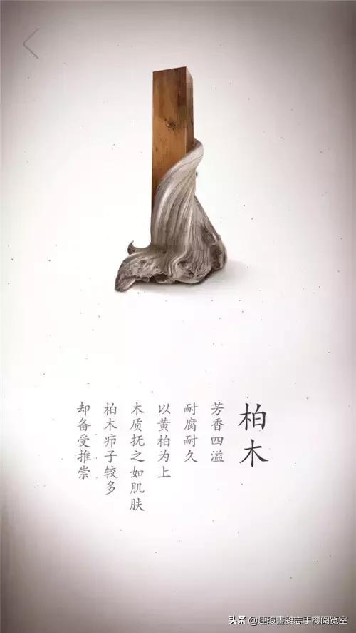 酷币了！17张珍贵木材高清写真