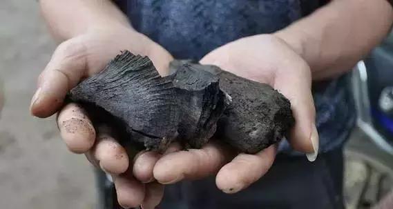 阴沉木乌木手串怎么鉴别,金丝楠乌木和阴沉木区别