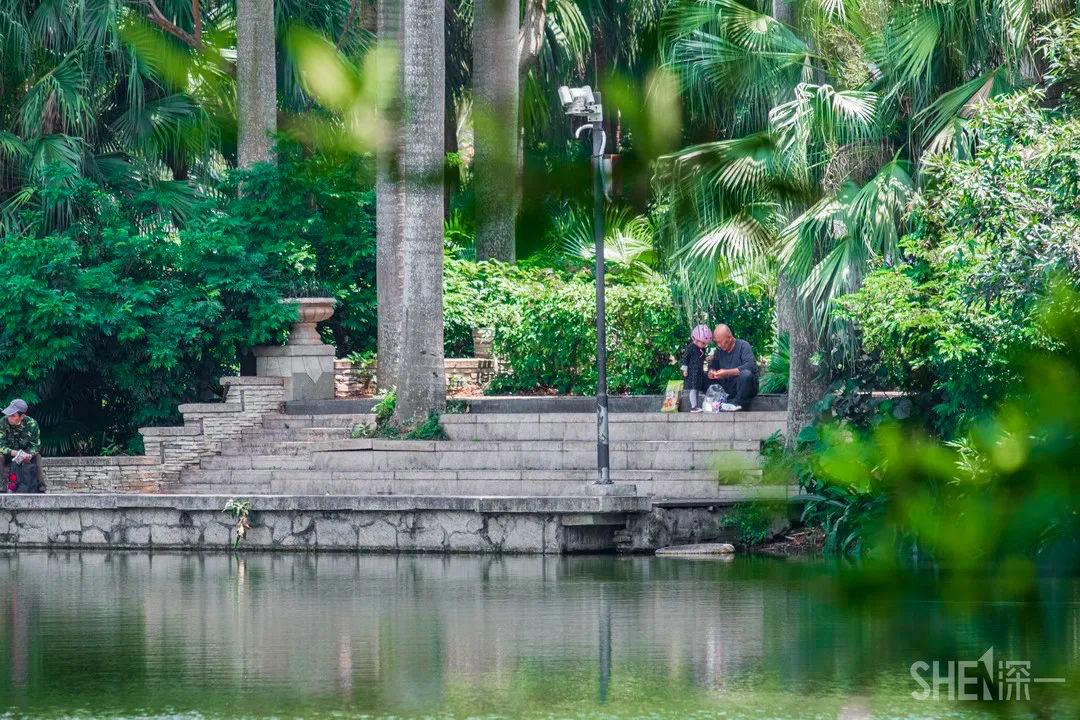 深圳这27个热门游玩地，坐2号线全都能到