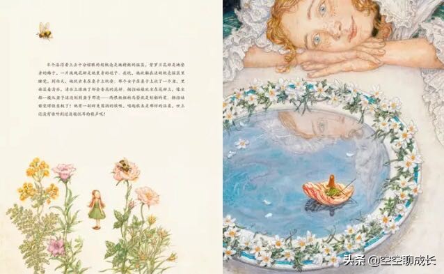 拇指姑娘是一个怎样的姑娘,拇指姑娘让我们懂得了什么