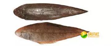 舟山4月份海鲜攻略,舟山海鲜代加工攻略