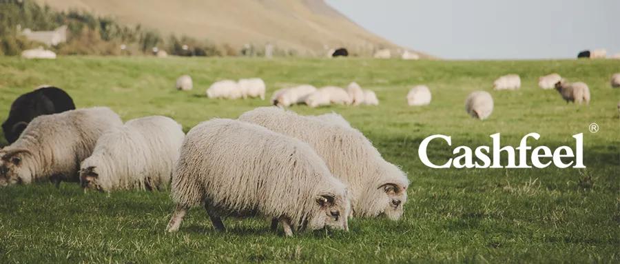 浙江新澳纺织股份有限公司,浙江新澳纺织集团有限责任公司