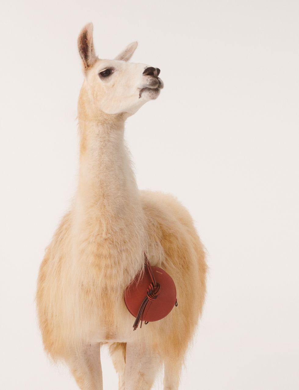 2022必火的t恤衫,2020年最爆款的t恤