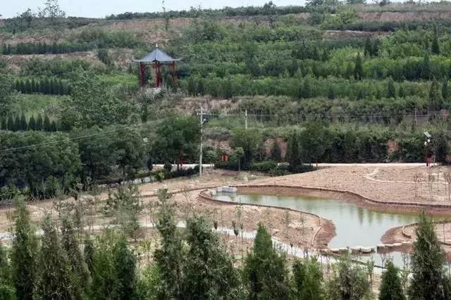 大荔县示范村名单,大荔县10个村