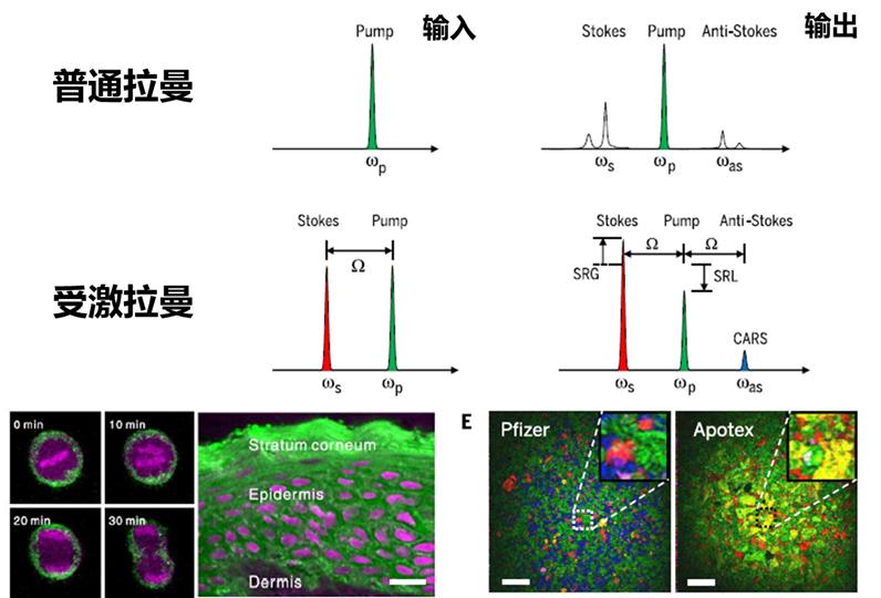 立足超快速药敏市场，Vibronix如何灭掉耐药菌的“威风”