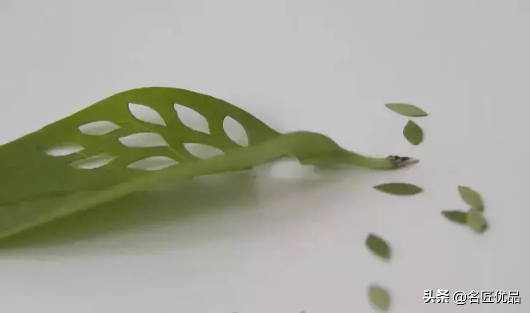 可爱又简单帅气的树叶手工,树叶创意手工高难度