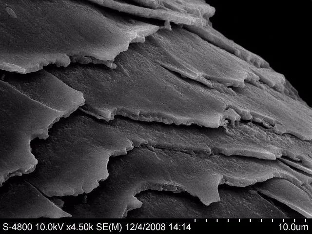 最全护发教程,修复烫染后受损发质头发护理