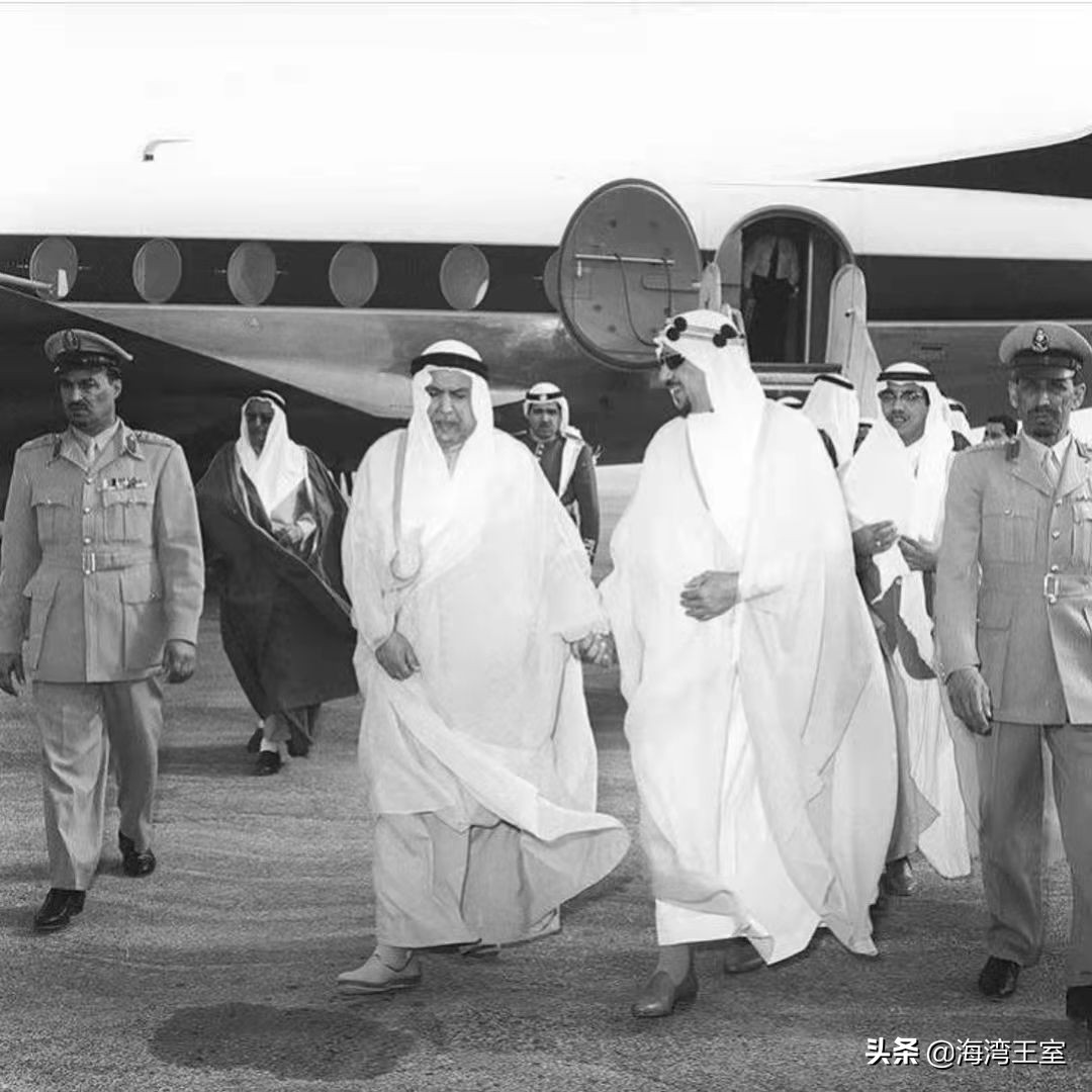 鍥界帇鏁村ぉ鑽掕癁鏃犲害,鍥界帇璐浘浜箰鐜╃墿涓у織