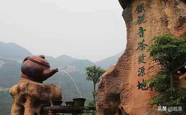 铁观音从入门到精通,铁观音的认知过程