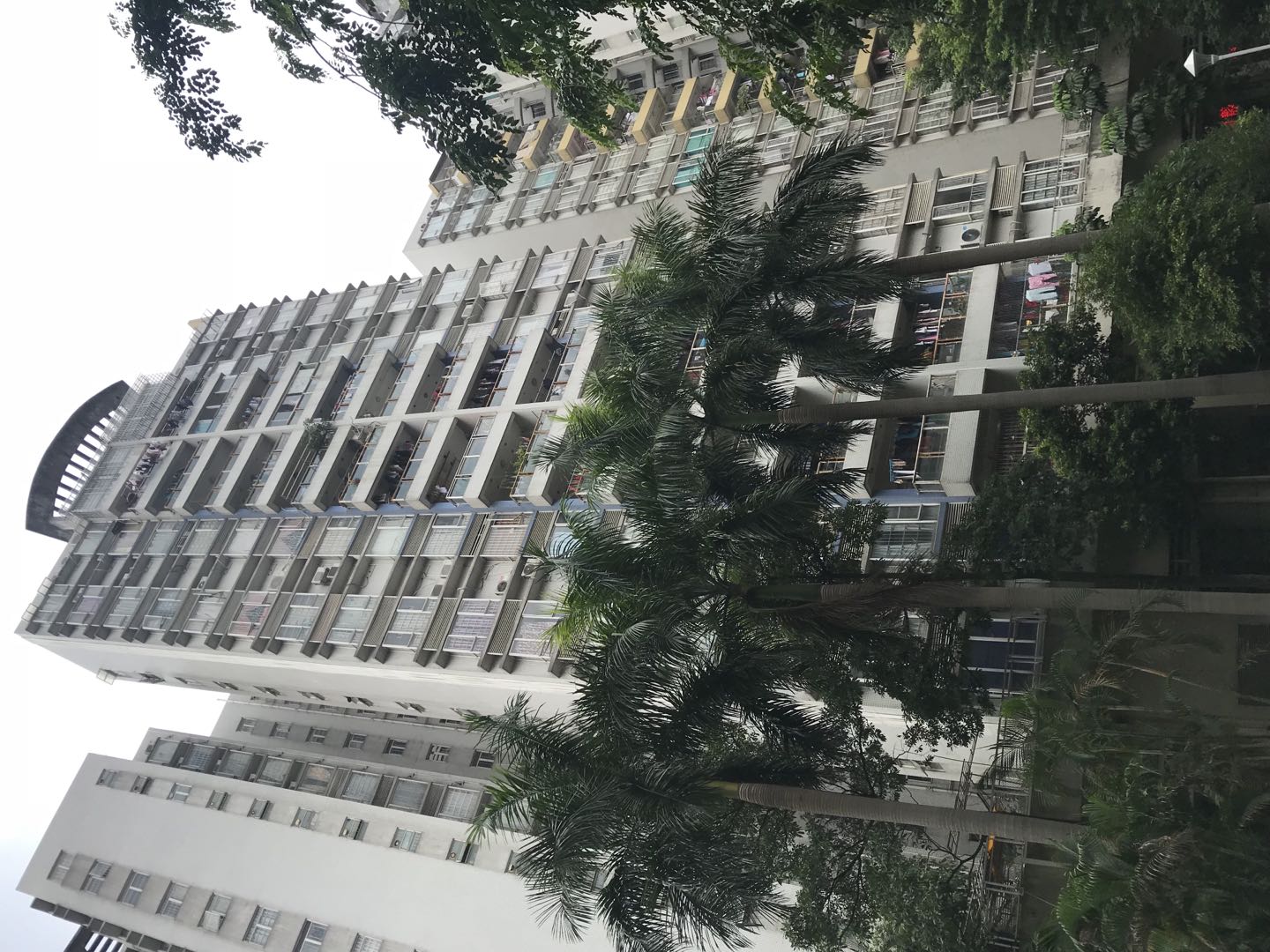 《怡港花园》——锤哥点评广州楼盘100篇，老黄埔·怡港花园