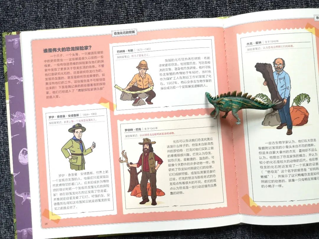 适合孩子看的恐龙科普书,适合5岁孩子看的恐龙科普书