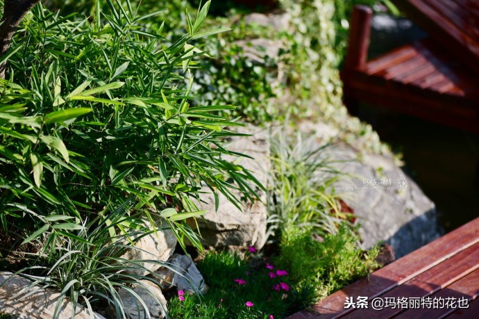 这座半山半水的土豪庭院，成了大多数男人的梦想｜花园拜访