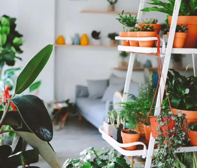 开花店怎样赚钱,成都开花店赚钱吗