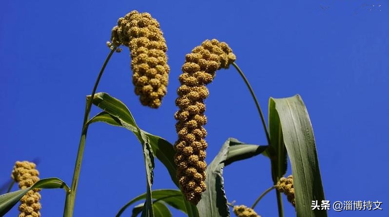 热爱生活从每日跑步开始,跑步让我感受健康和快乐