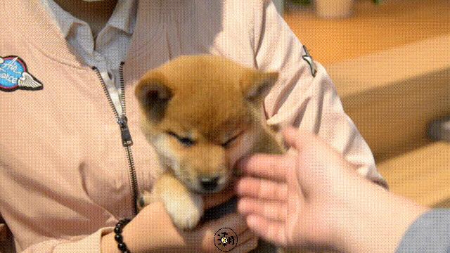 海尚MALL「花漾百出」攻略全曝光,扫货/美食/抽奖一个都不少