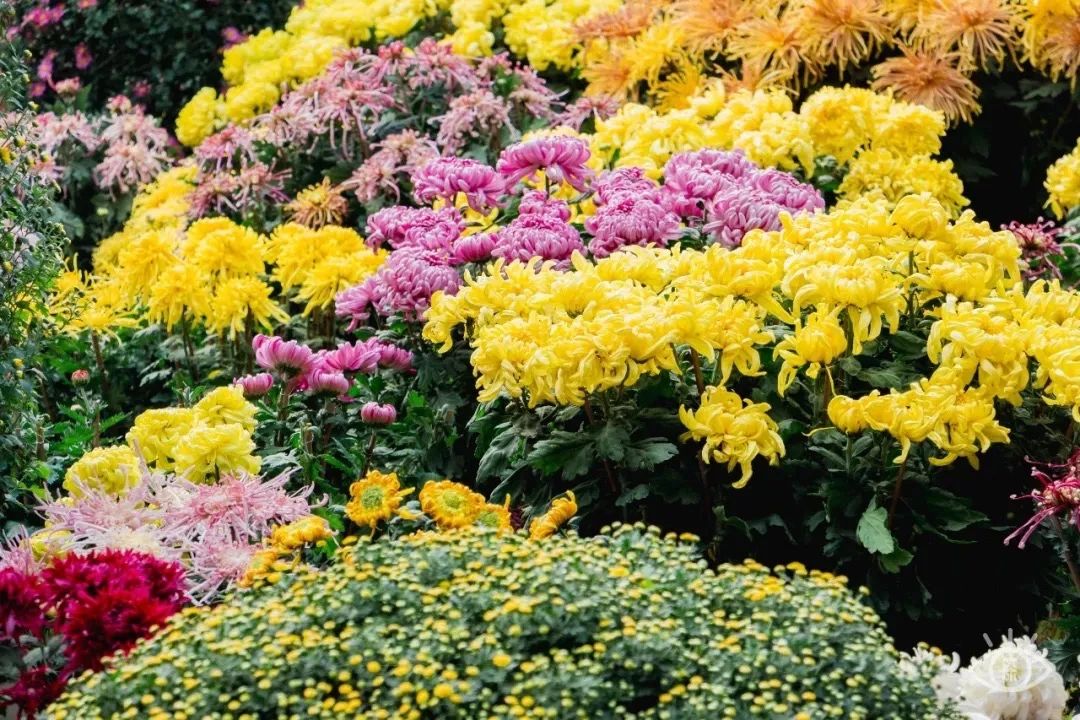 深圳吃喝玩乐两日游推荐,深圳周边游吃喝一日游推荐