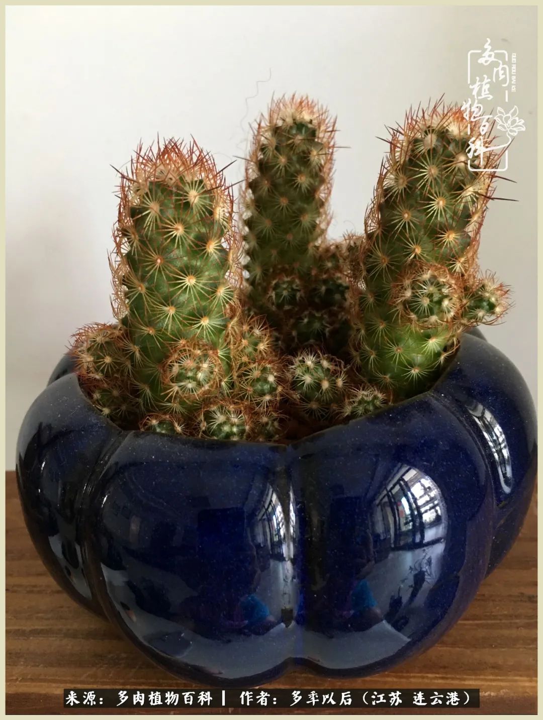 多去花前谈以后，少来月下忆当年