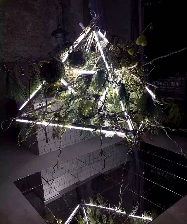 杨澜专访张艾嘉,杨澜采访张艾嘉