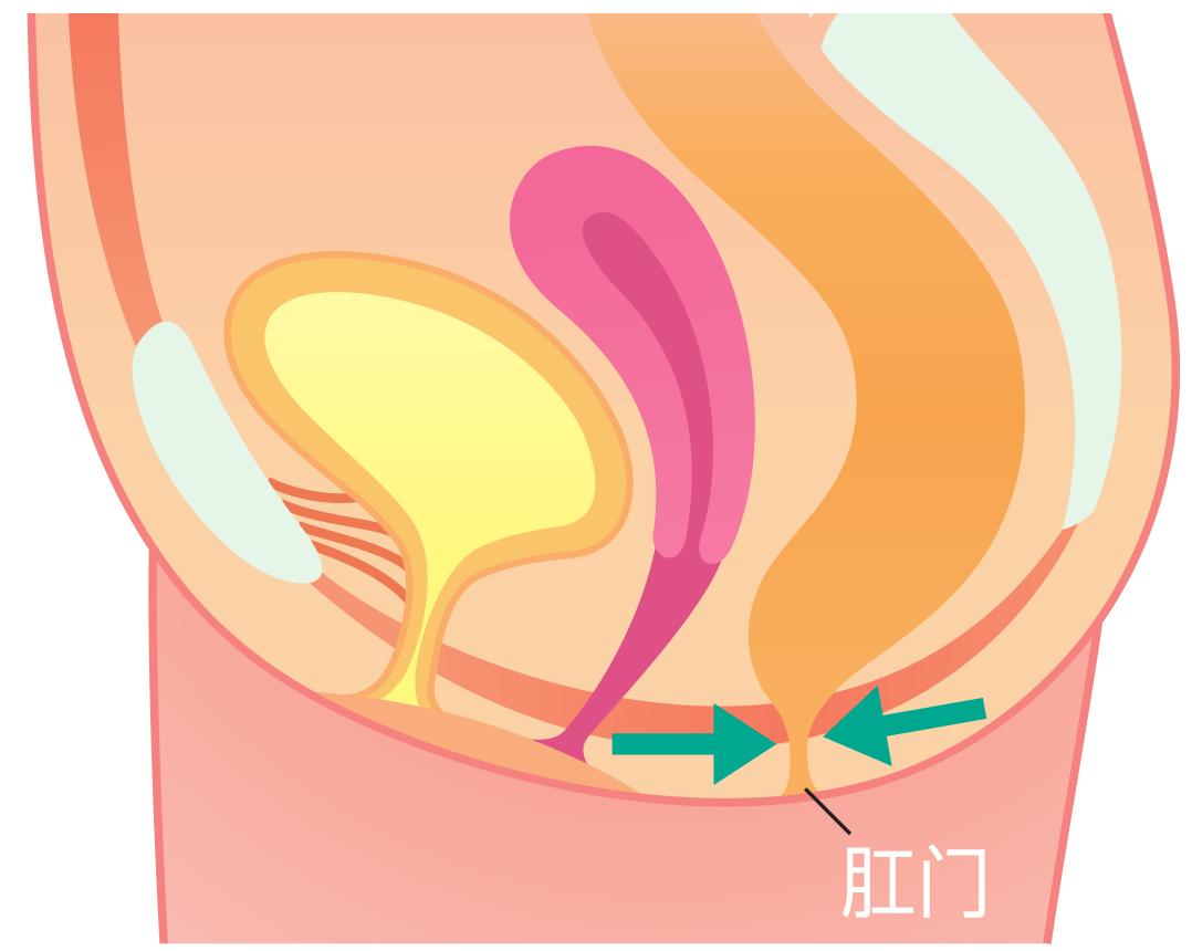改善盆底肌松弛尿频,改善盆底肌松弛漏尿仪器怎么做