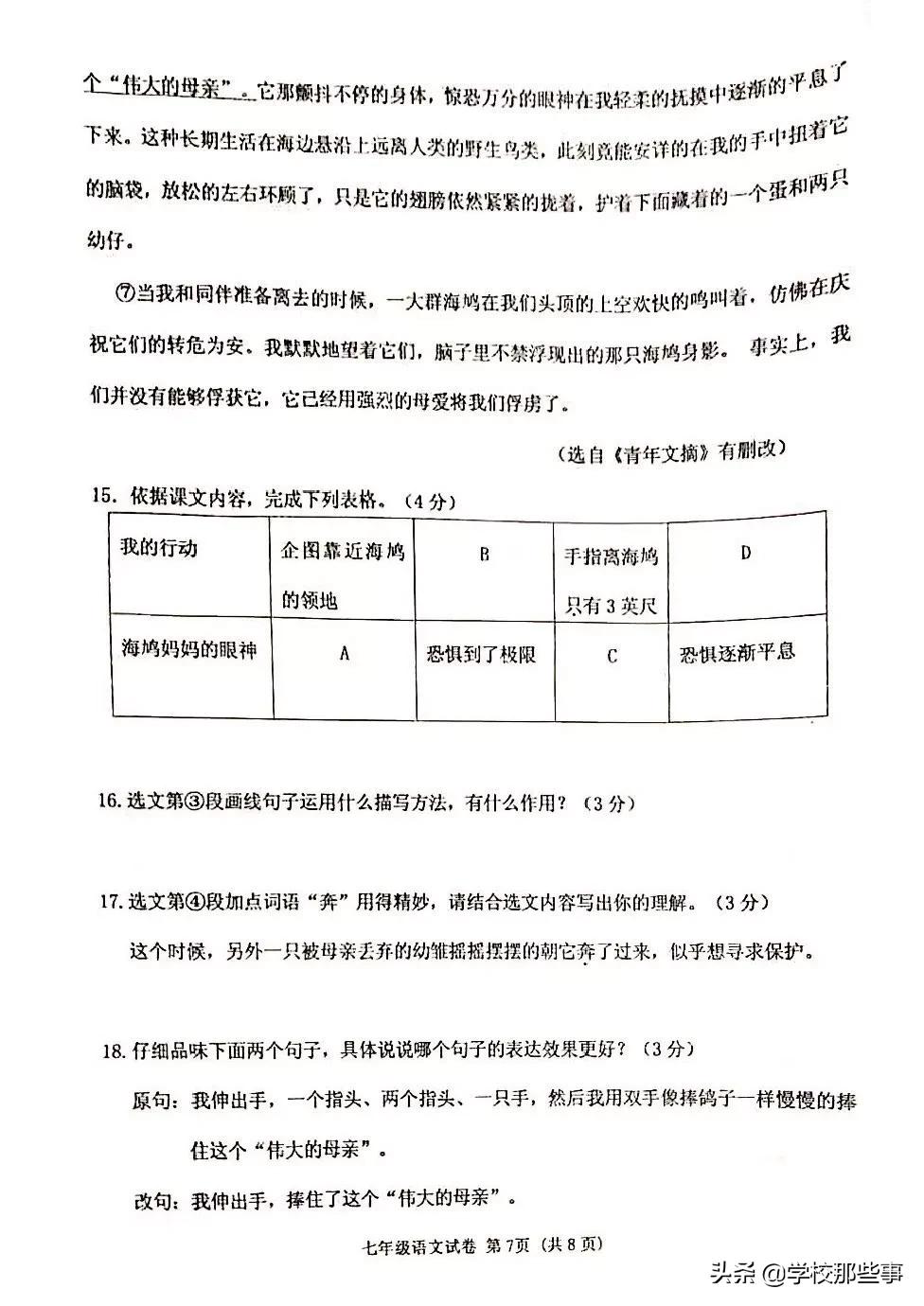 沈阳七下期末考试题,七下沈阳各区期末试卷答案