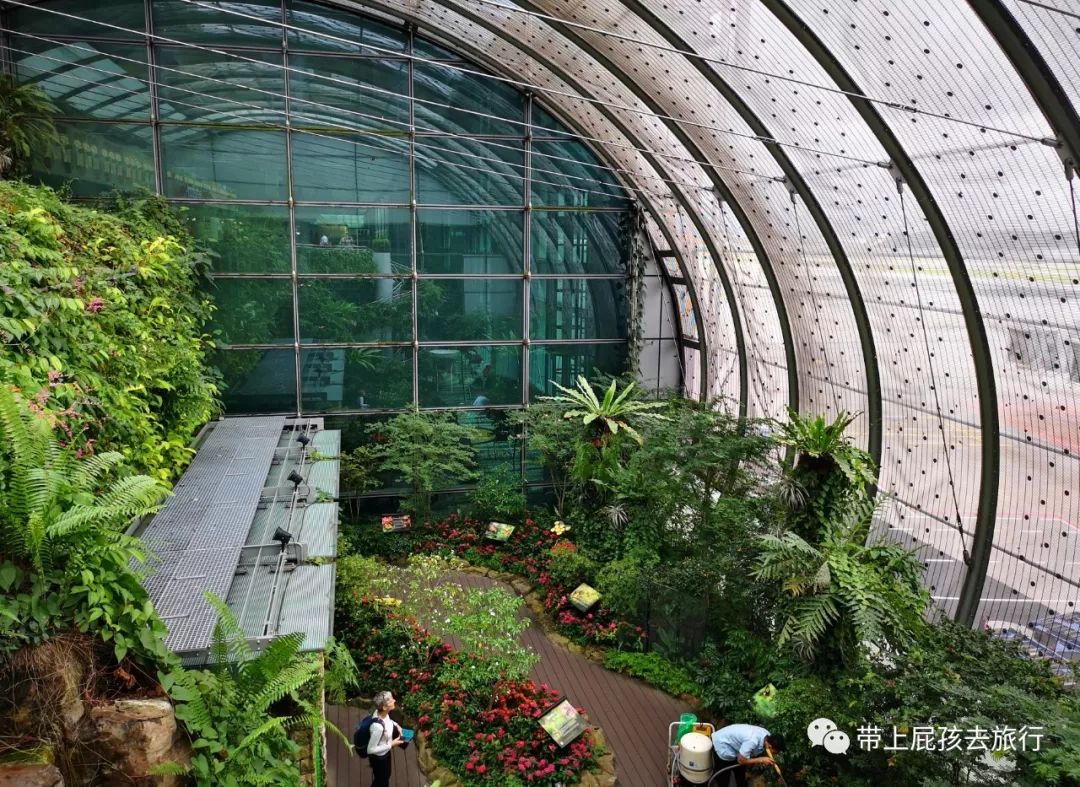 无旅行不暑假亲子游胜地新加坡,新加坡马来西亚亲子游春节