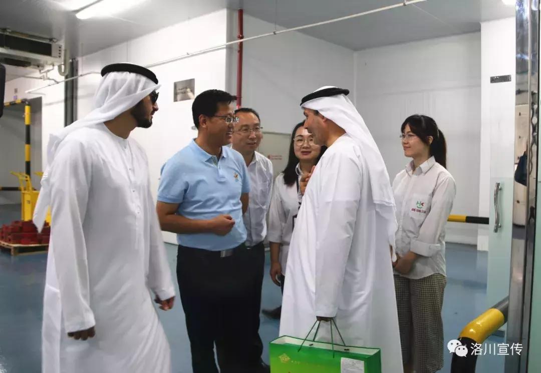 成了！洛川苹果迪拜办事处成立