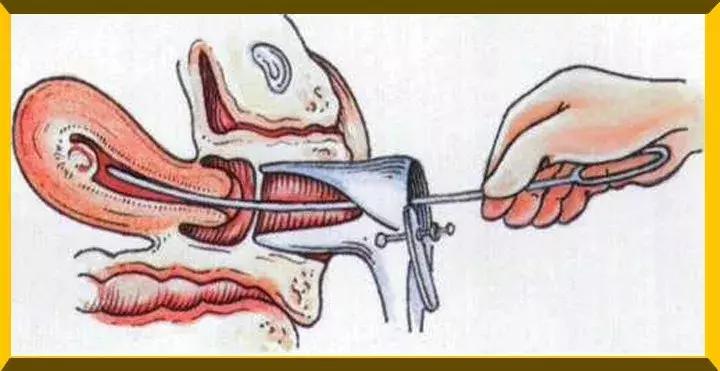 赵丽颖产子后现状,赵丽颖哪年产子