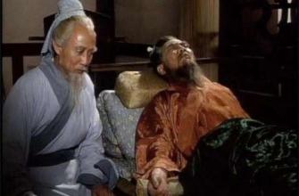 关于华佗三国名人介绍,三国人物浅谈司马懿