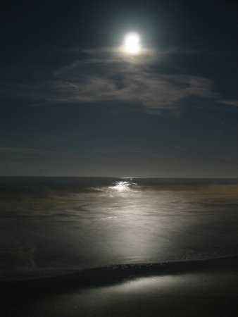 货运司机,货运司机找工作哪个平台靠谱