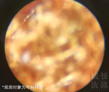 大学生实验室显微镜,大学生发明的黑科技