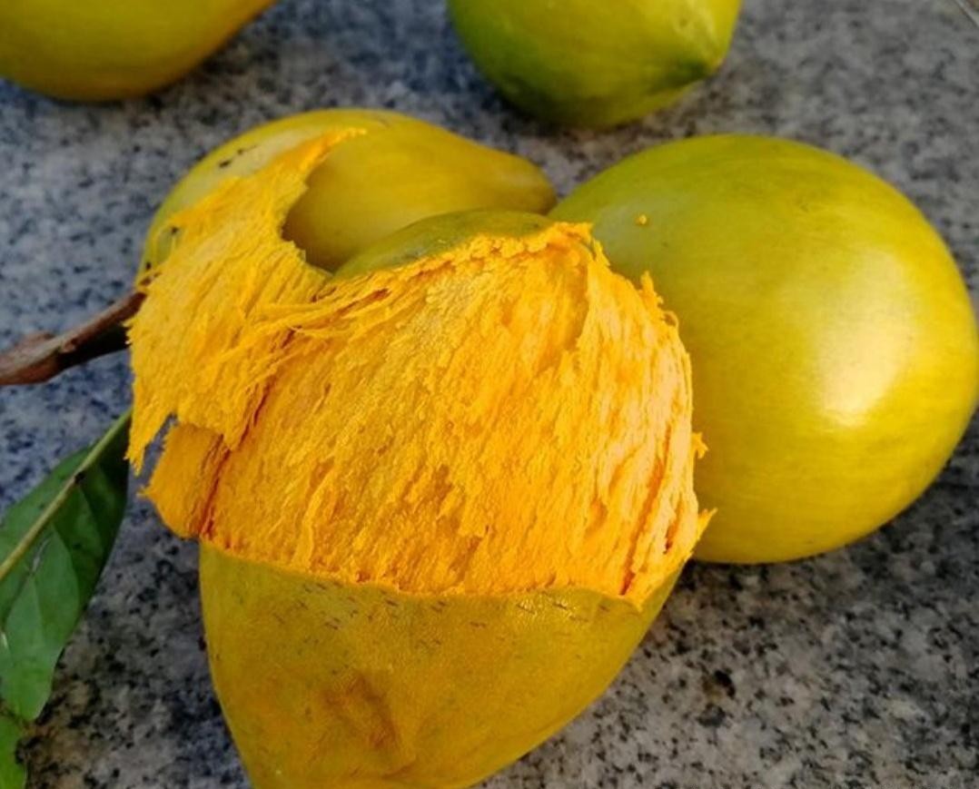 目前农村种植什么水果最好赚钱,目前种植什么水果最有前景