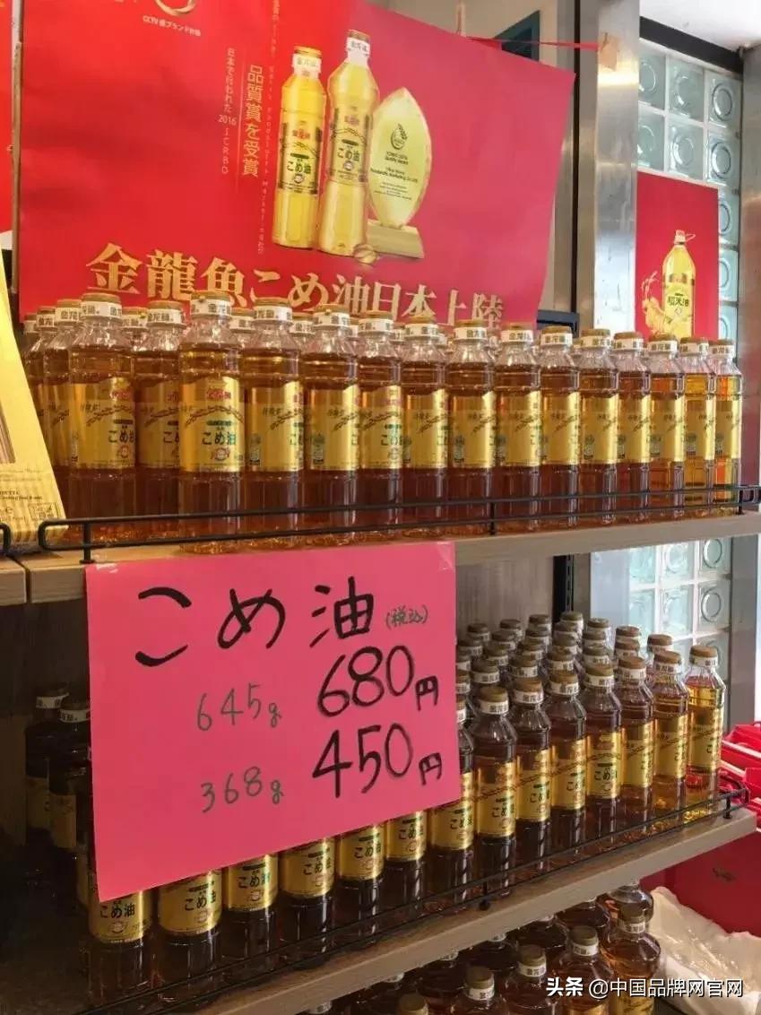 稻米油金龙鱼现状,稻米油金龙鱼