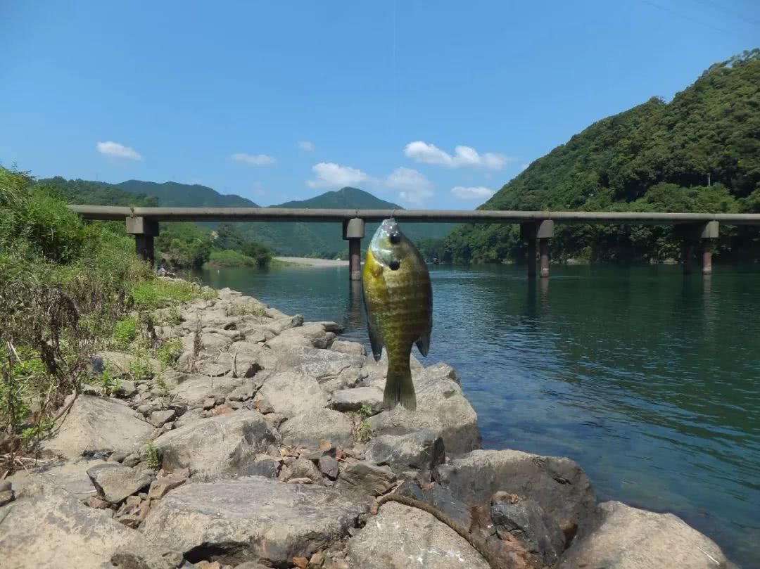 冬天去北海道可以玩什么,7月份的北海道有什么可以玩的