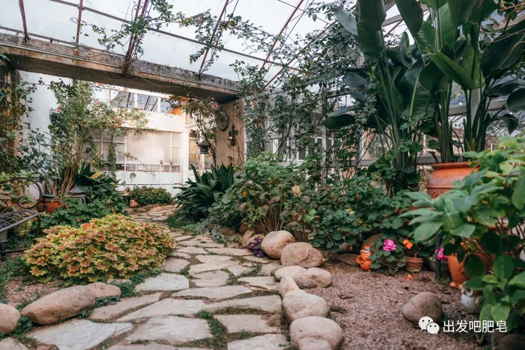 青岛亲子餐厅大盘点2.0,带娃全部吃过才有这份实力榜单