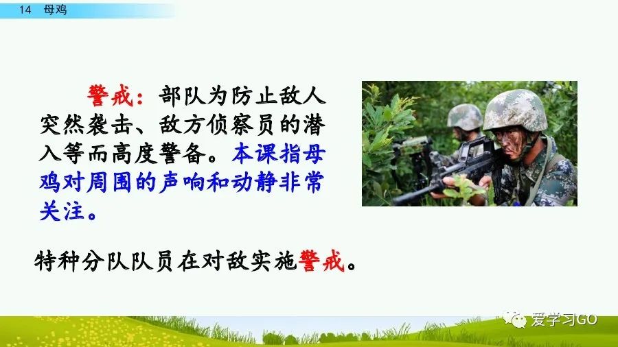 部编版四年级下册15课白鹅解析,部编版四下语文第13课母鸡预习