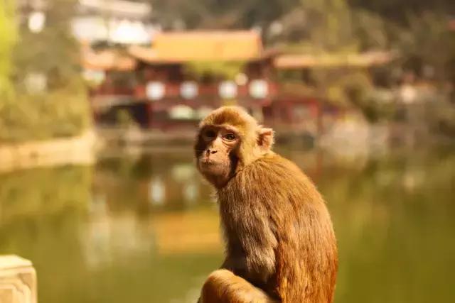 千万别来贵阳上大学，我是认真的