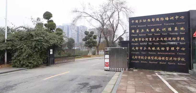 世警会真的来了吗,世警会即将举行完整版