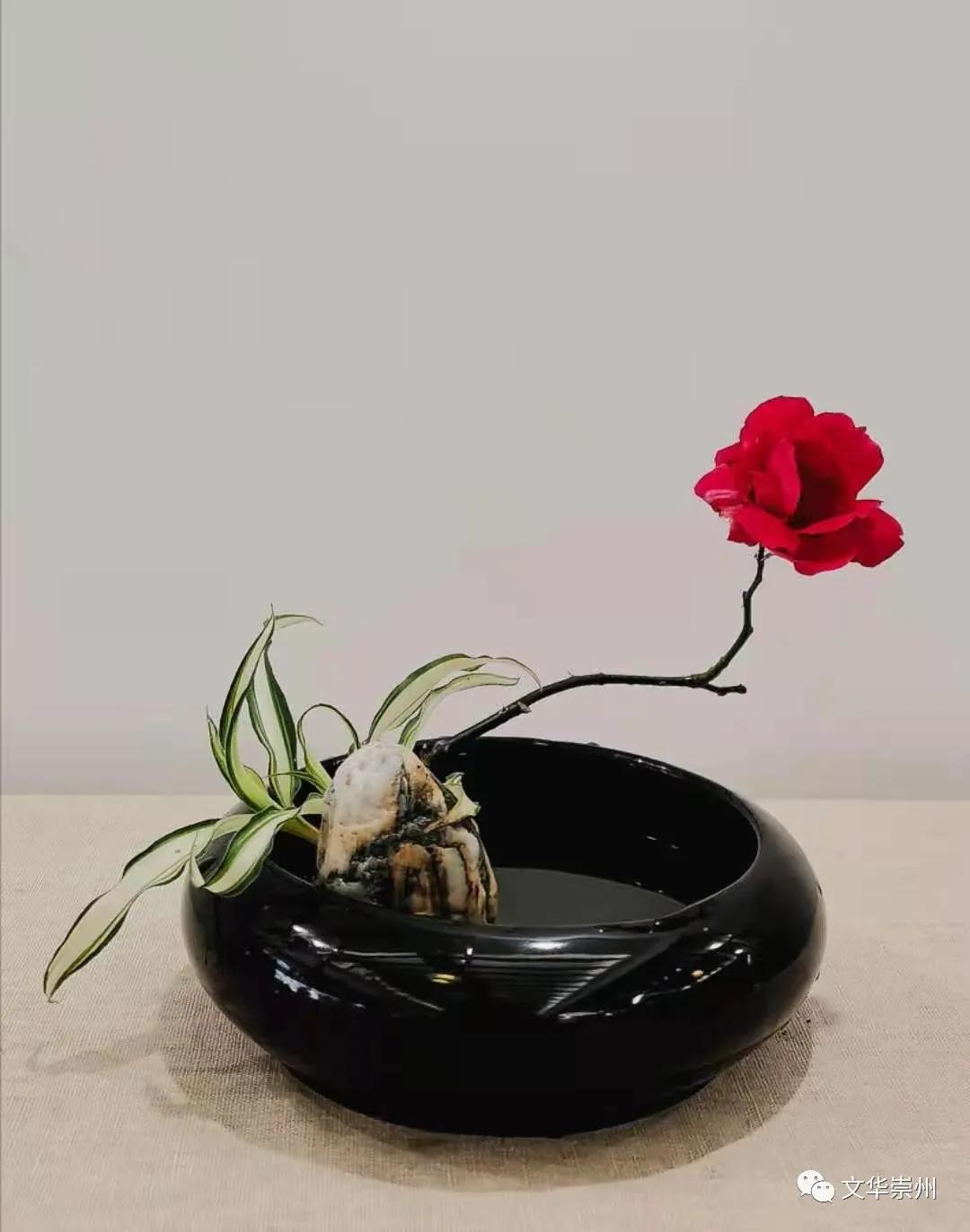 崇州罨画池春节,成都周边一日游崇州罨画池