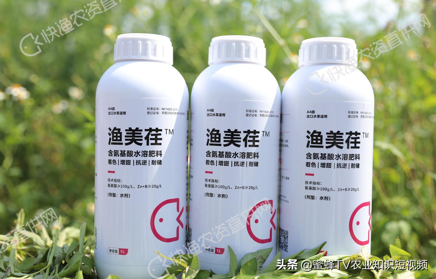 柑橘无法自然着色自然增甜,柑橘快速增甜着色方法有哪些