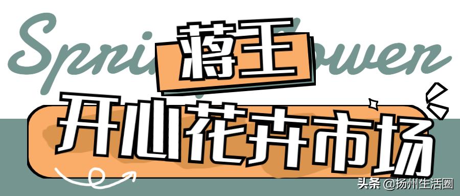 2元花盆批发清仓,2元花卉批发市场